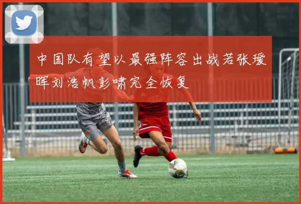 中国队有望以最强阵容出战若张瑷晖刘浩帆彭啸完全恢复